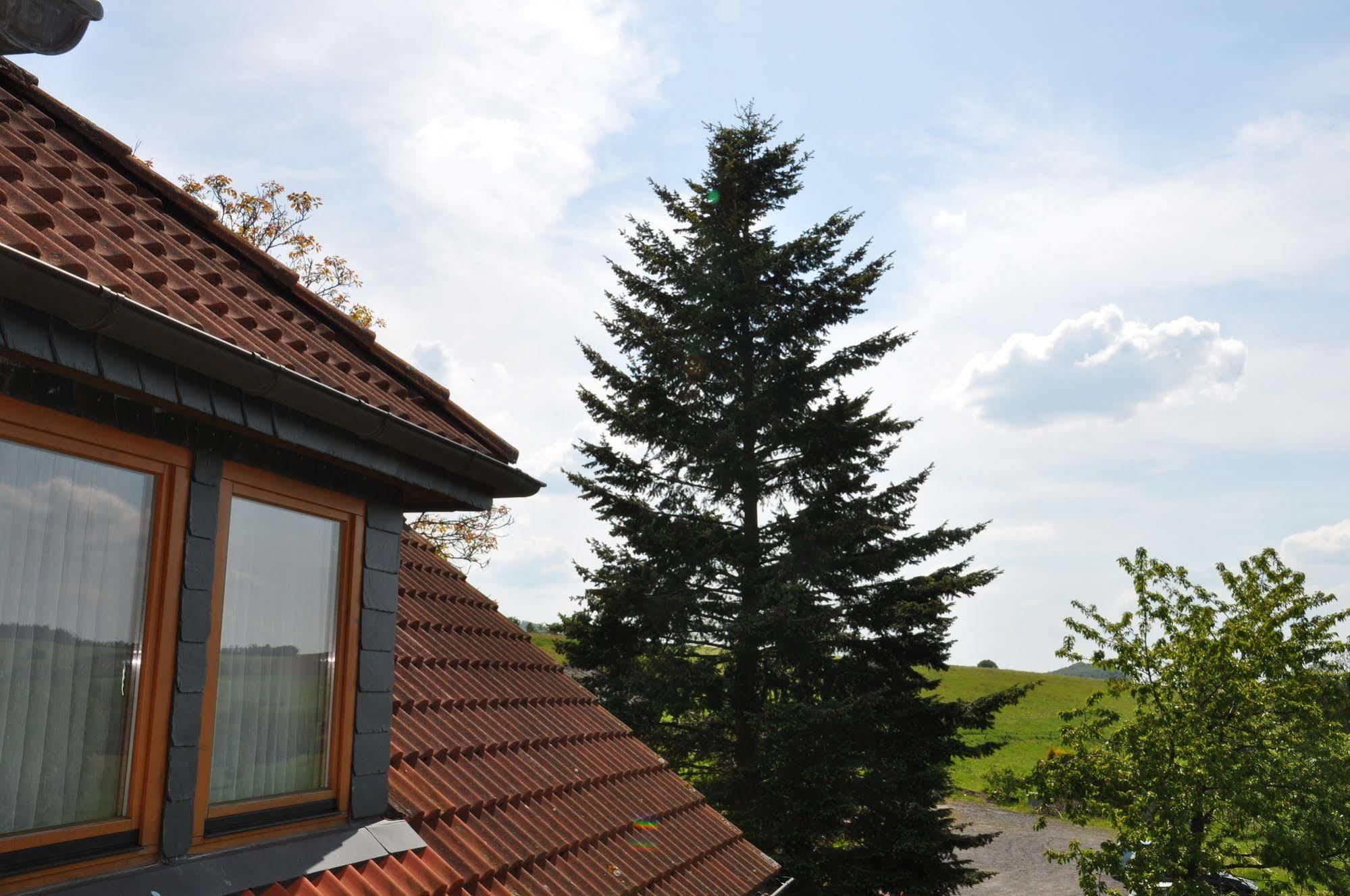 Rhoen-Hotel Sonnenhof - Restaurant & Cafe Poppenhausen Luaran gambar